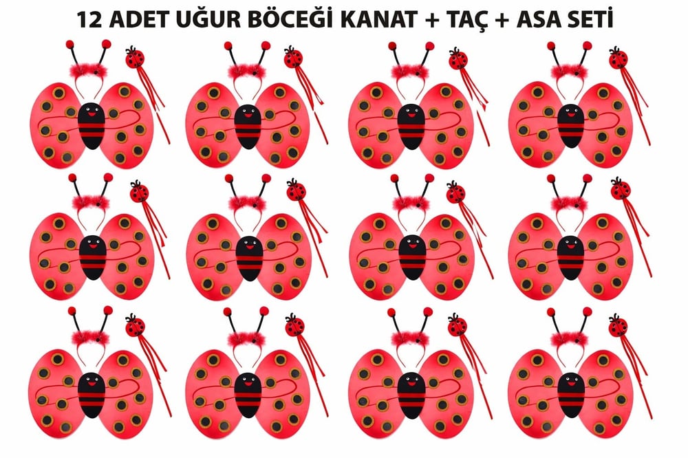 Uğur Böceği Kostüm Seti - Kanat Taç Asa 3 Parça 12 Adet (5293)