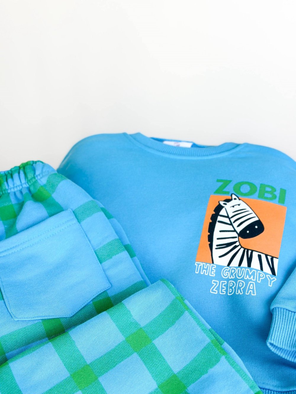 CARTOON ZEBRA SET