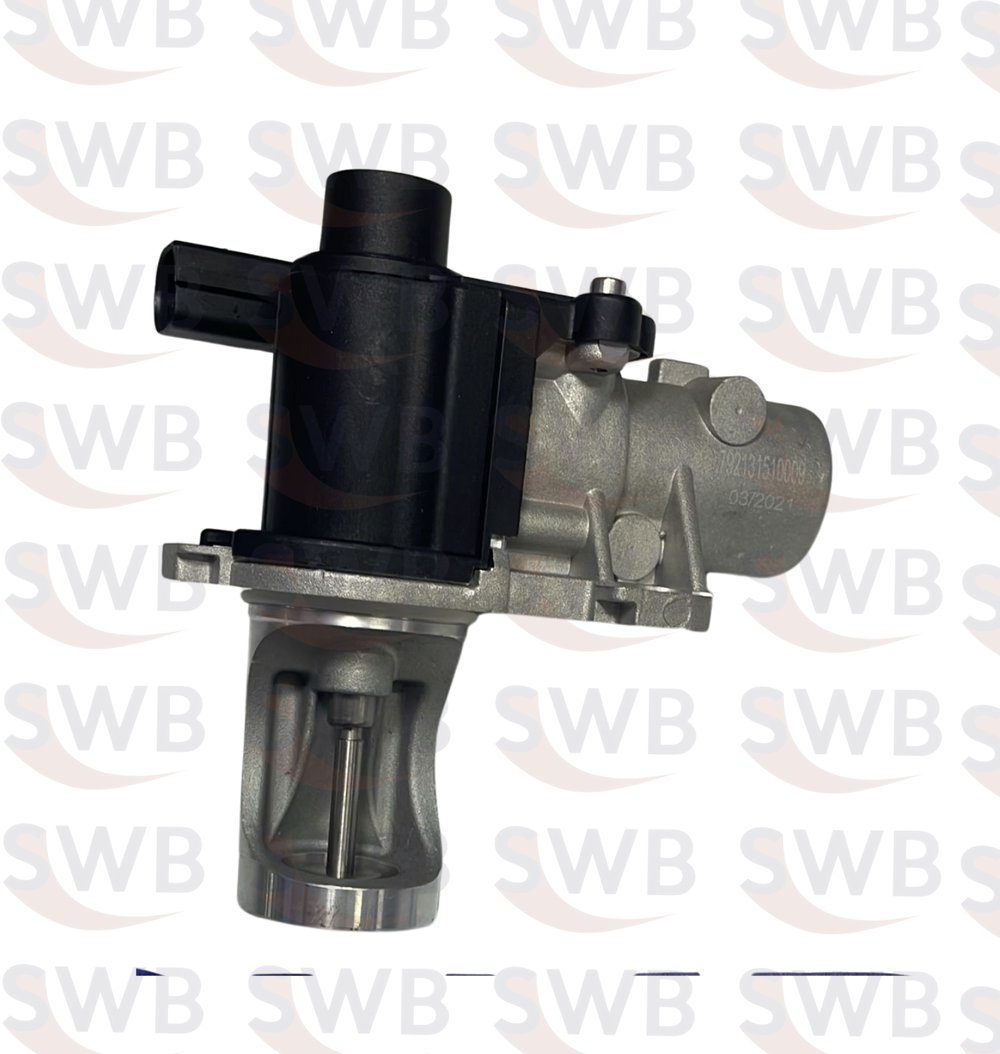 EGR VALF