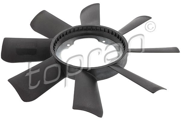 FAN GÖBEĞİ 8 KANAT