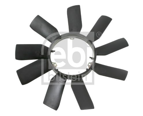 FAN GÖBEĞİ 9 KANAT