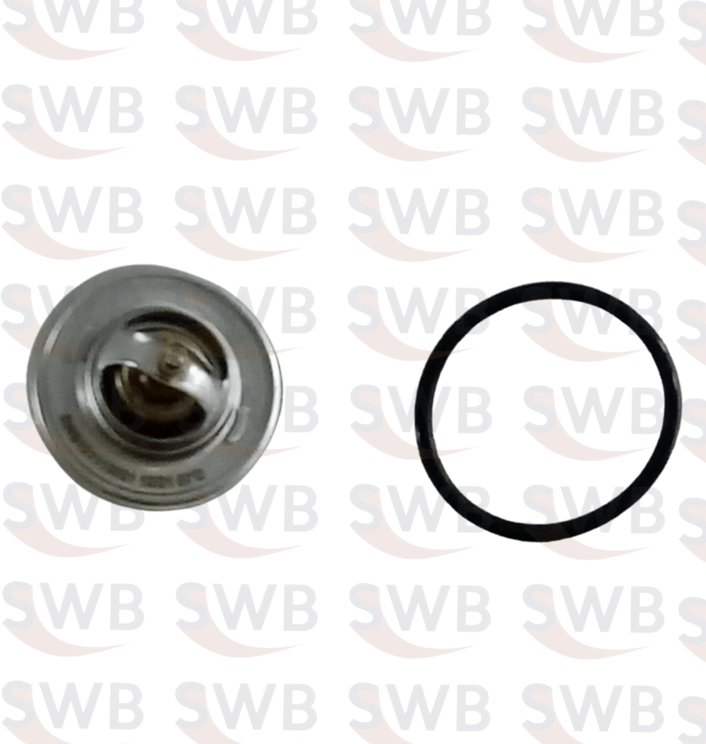 TERMOSTAT 87C 102C