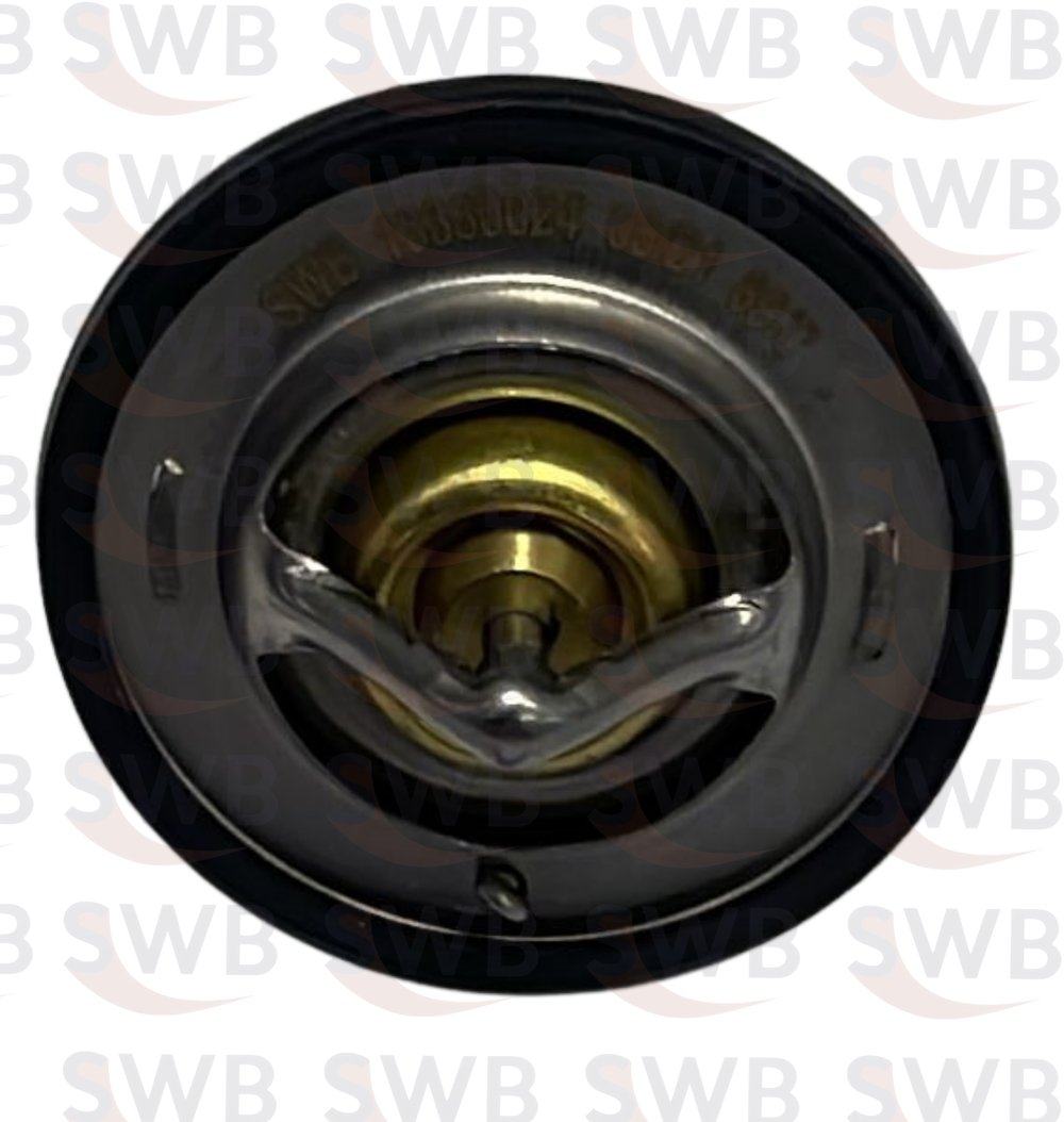 TERMOSTAT 89C