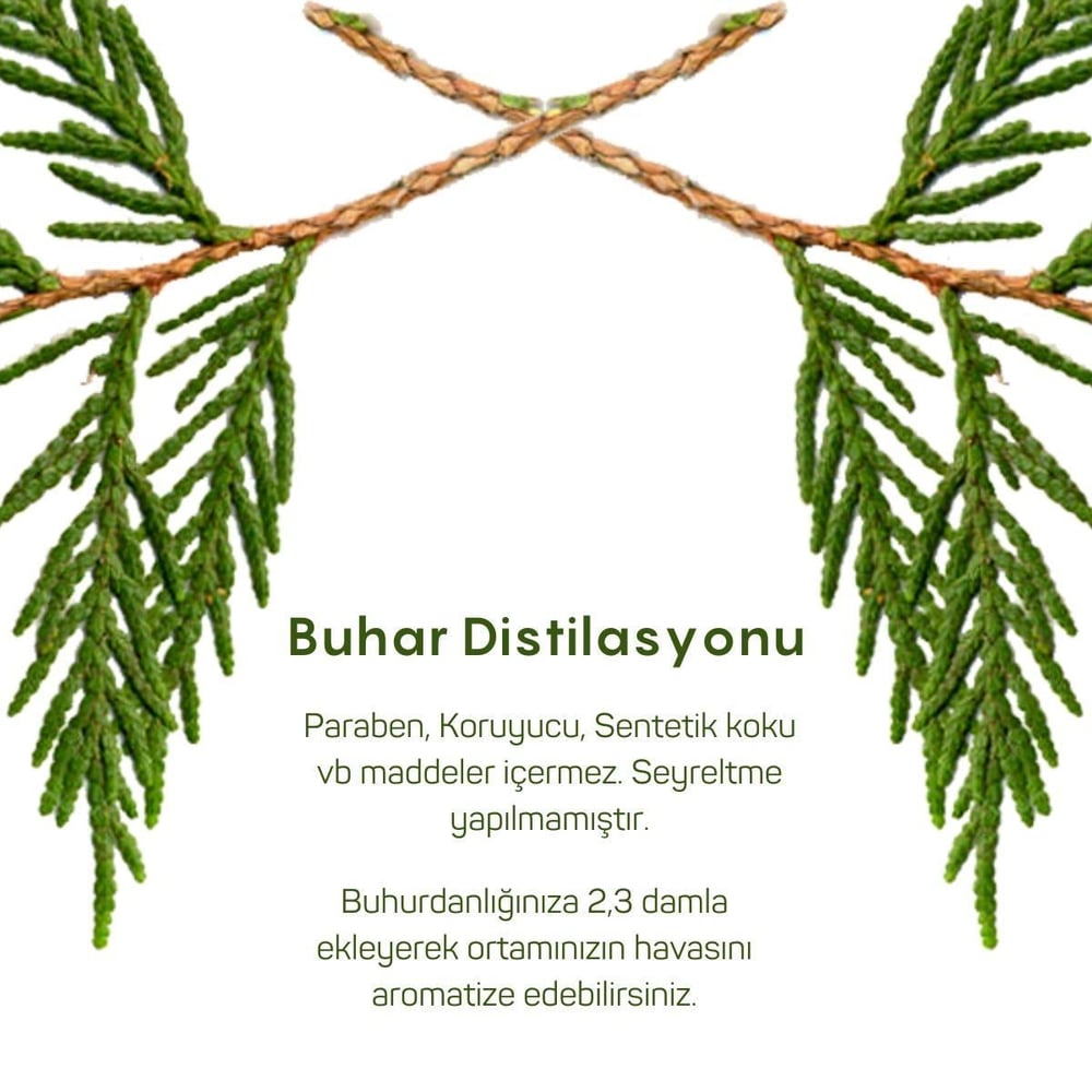 Sedir Uçucu Yağı 10ml
