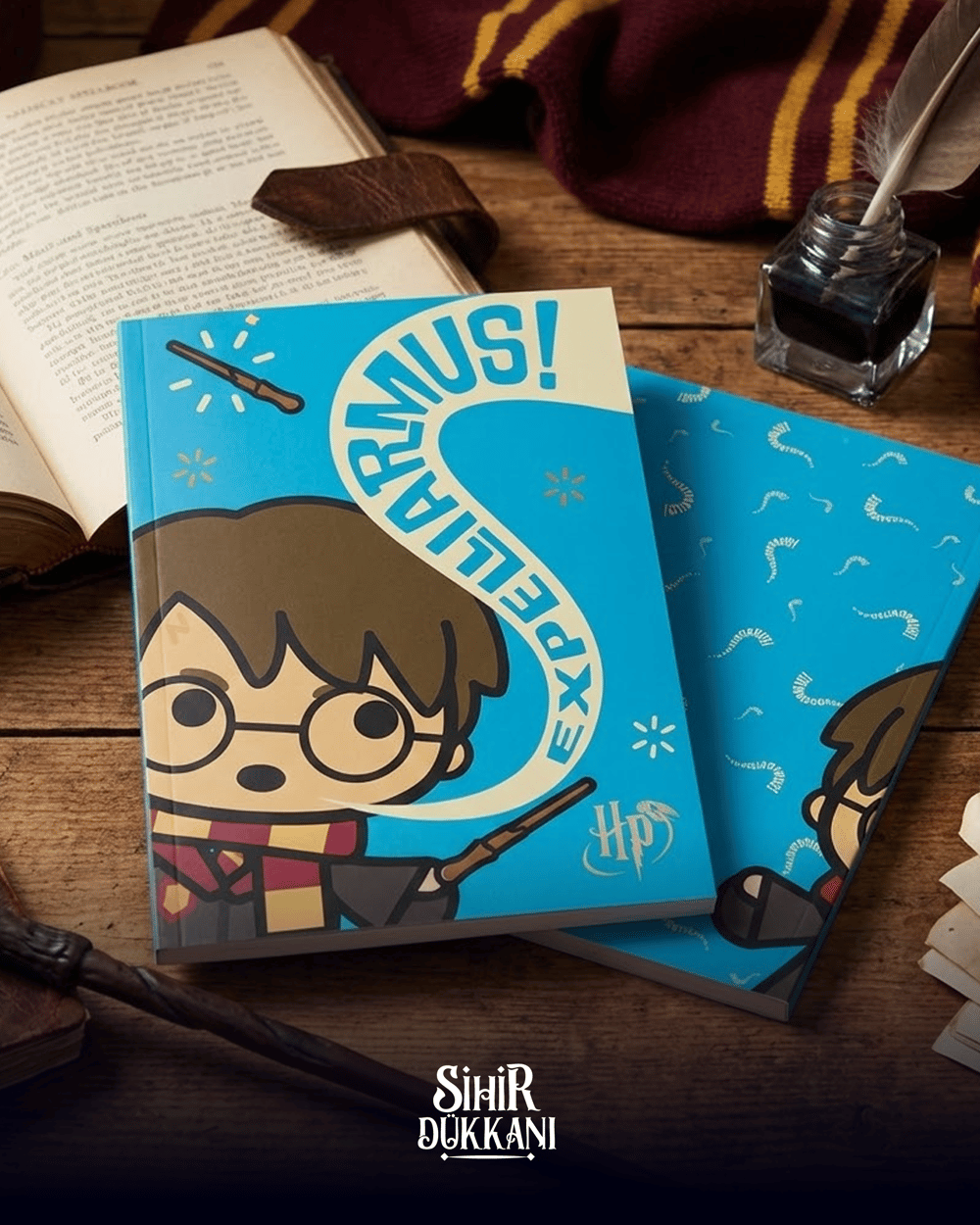 KARAKTER DEFTER-HARRY