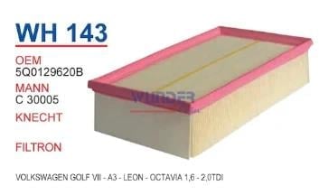WH143 Hava Filtresi