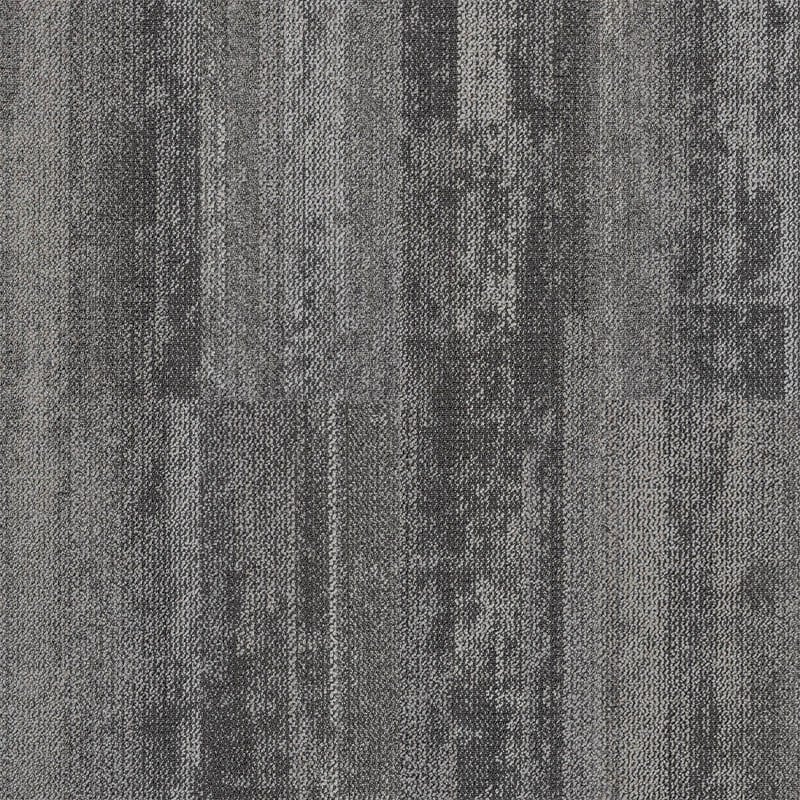Aristoteles 04 (25×100)