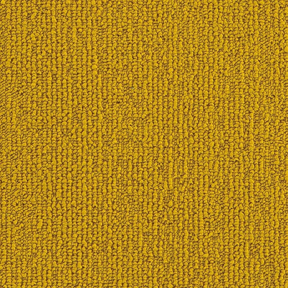 Darwin 33 (25x100cm)