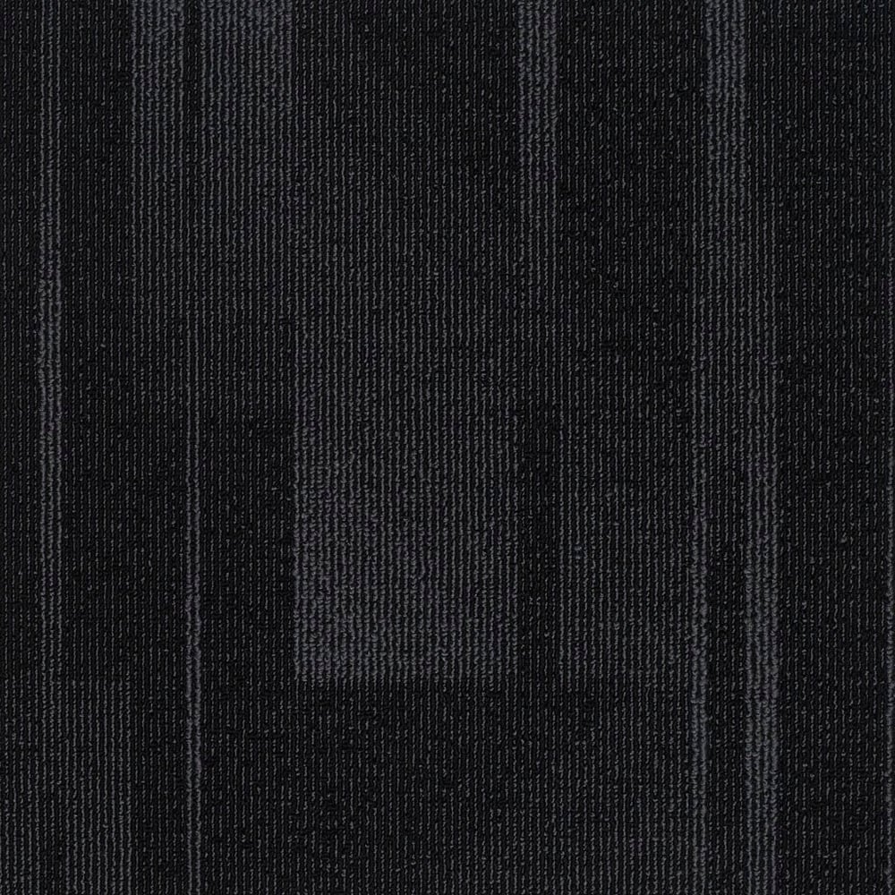 Pasteur 10 (50×50)
