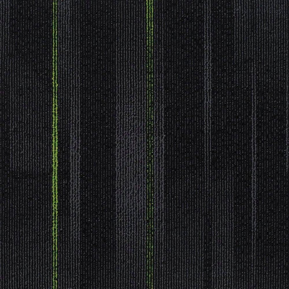 Pasteur 18 (50×50)