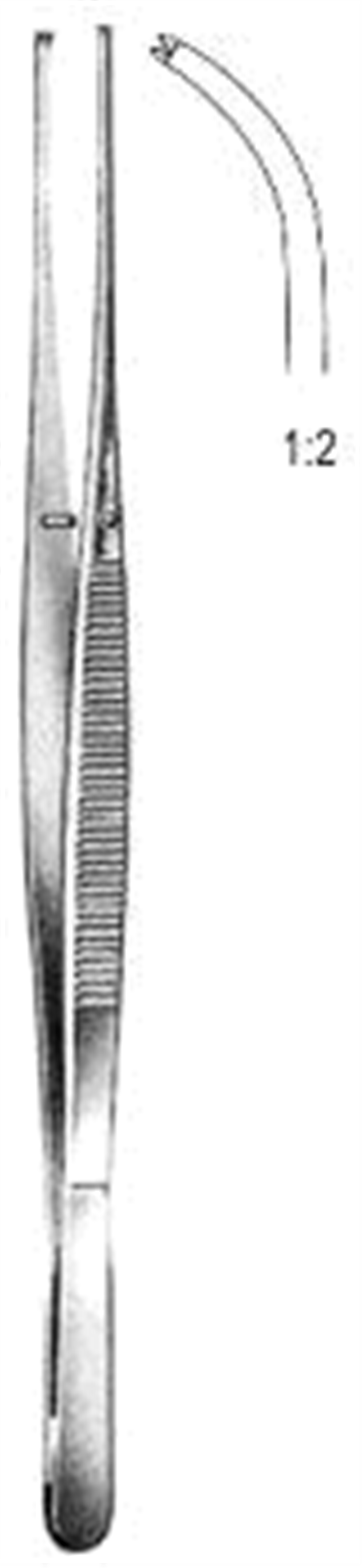 12.0229.17 Taylor Doku Forsepsi Eğri 1x2T, 17.5cm
