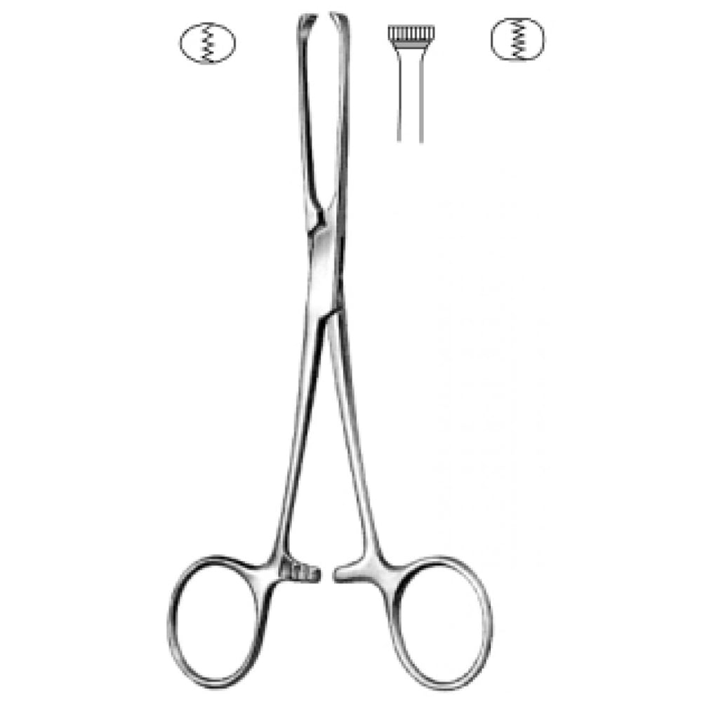 52.0020.22 Allis Doku Forsepsi 4x5 Dişli, 22cm