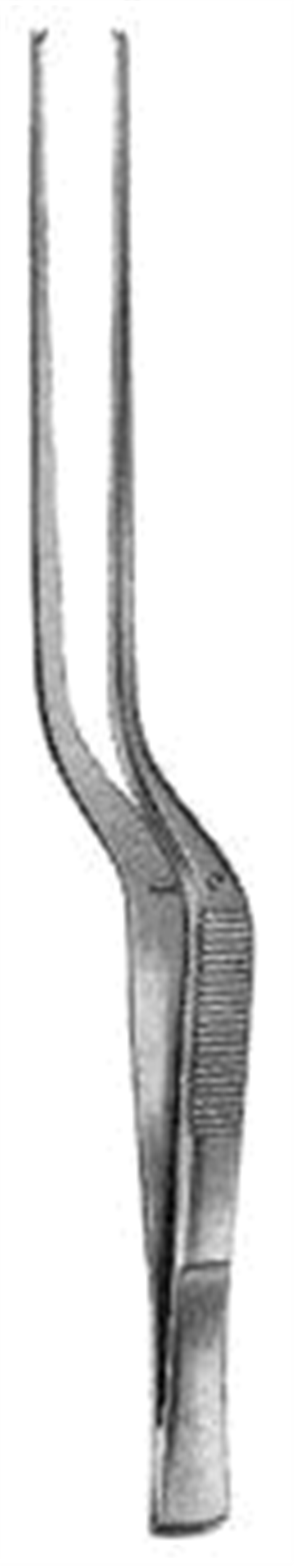 12.0234.17 Taylor Doku Forsepsi Bayonet 1x2T, 17.5cm 