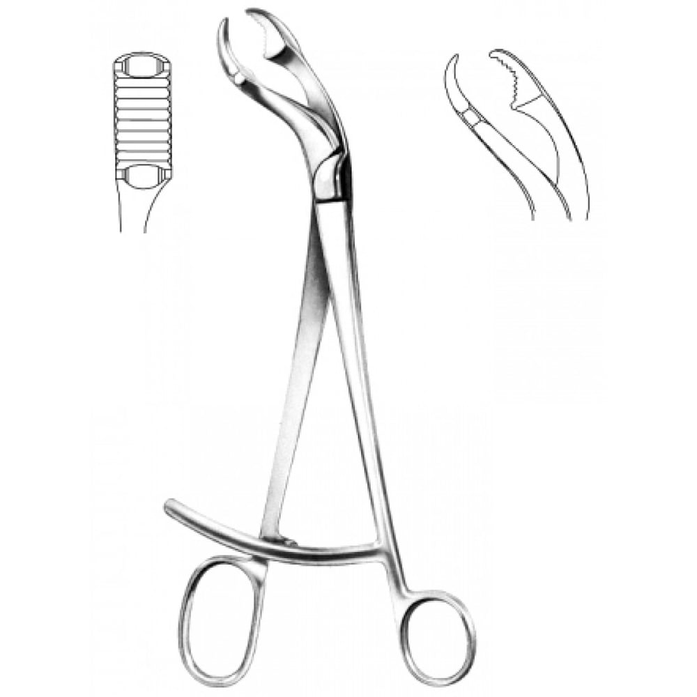 28.1084.25 Verbrugge Kemik Tutma Forsepsi 25cm
