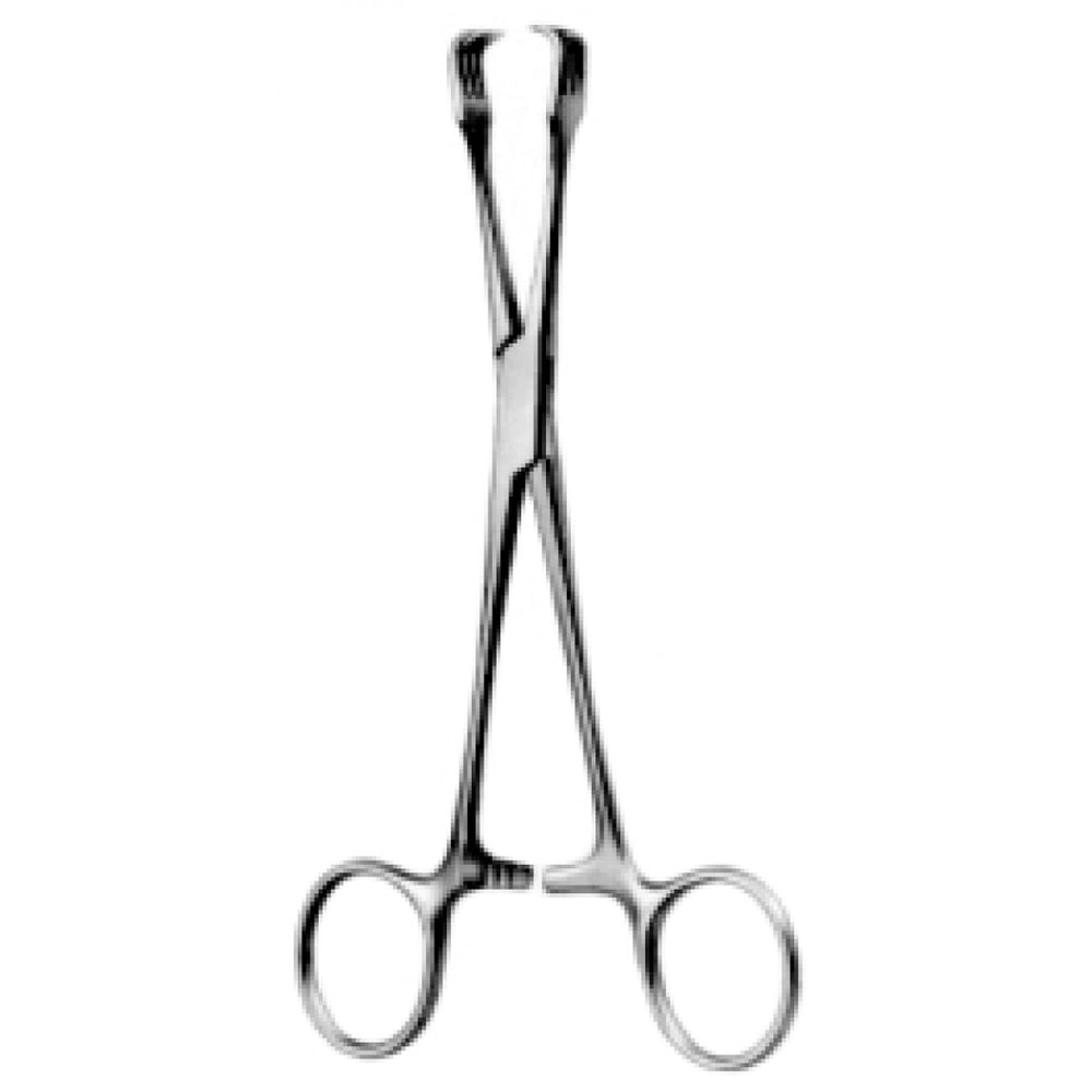 60.0654.15 Braun Organ & Tissue Grasping Forceps 16cm