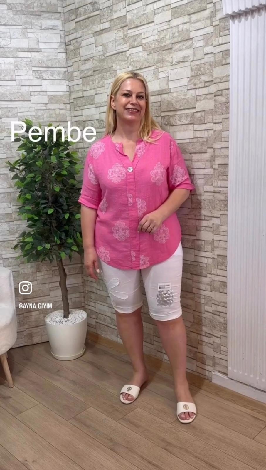 1231 PEMBE