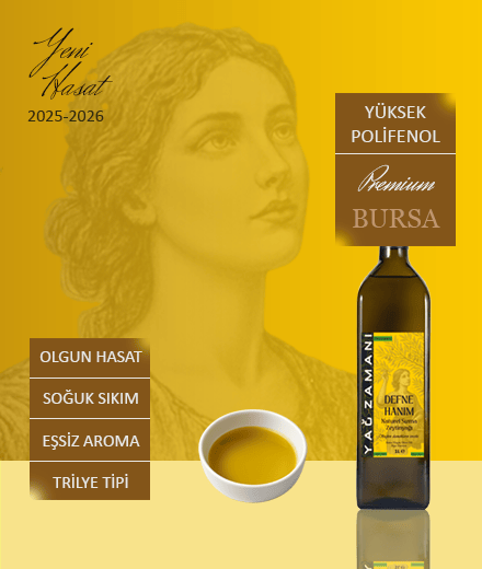 1 Litre Olgun Hasat Naturel Sızma Zeytinyağı