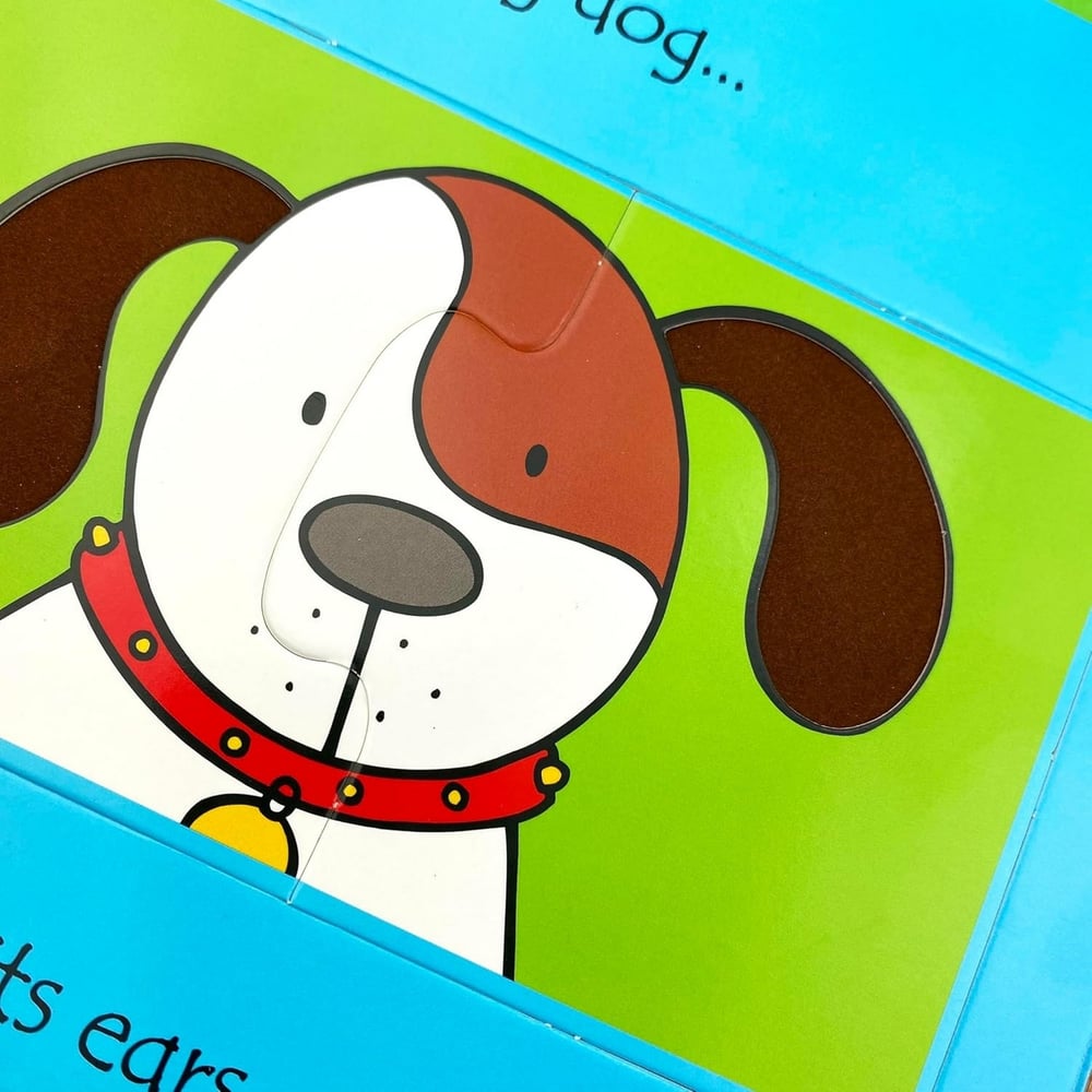 Usborne - Pets Kitap