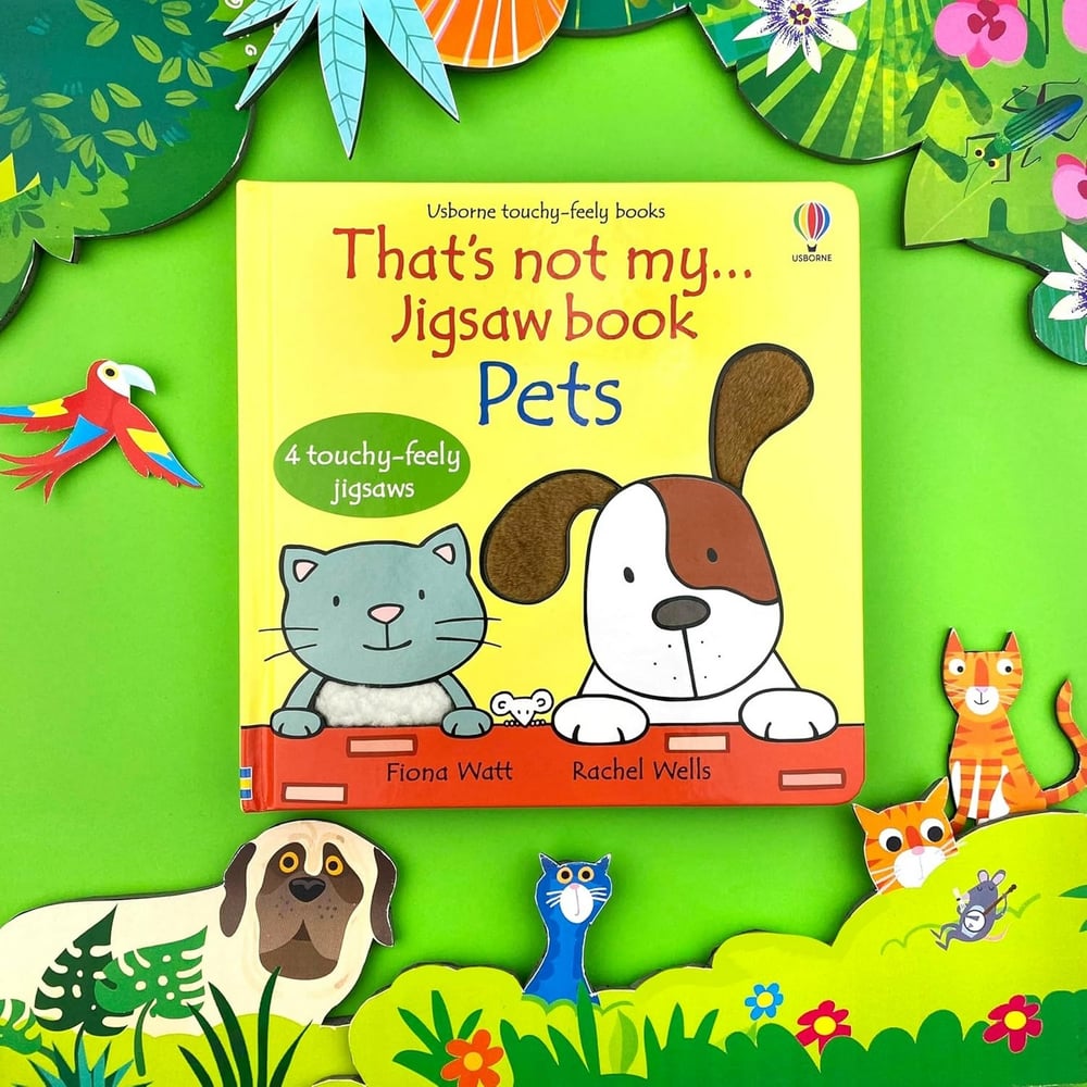 Usborne - Pets Kitap