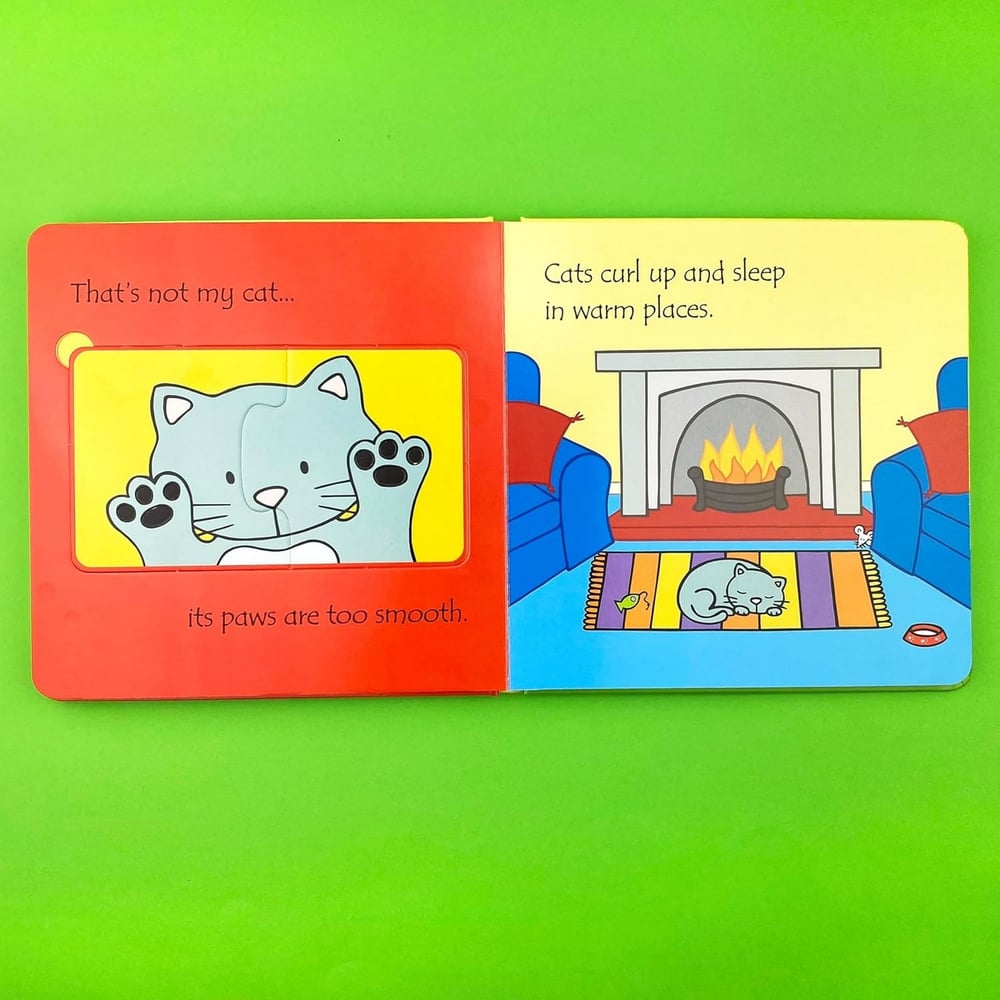 Usborne - Pets Kitap