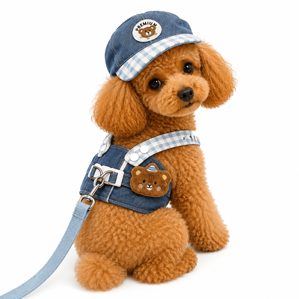 DolcePets Premium Şapkalı Tasma Set 