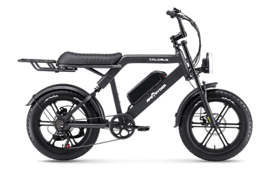 APE RYDER COLOBUS ELEKTRİKLİ BİSİKLET - SİYAH (750W) 