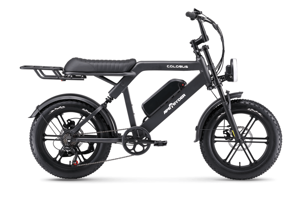 APE RYDER COLOBUS ELEKTRİKLİ BİSİKLET - SİYAH (750W) 