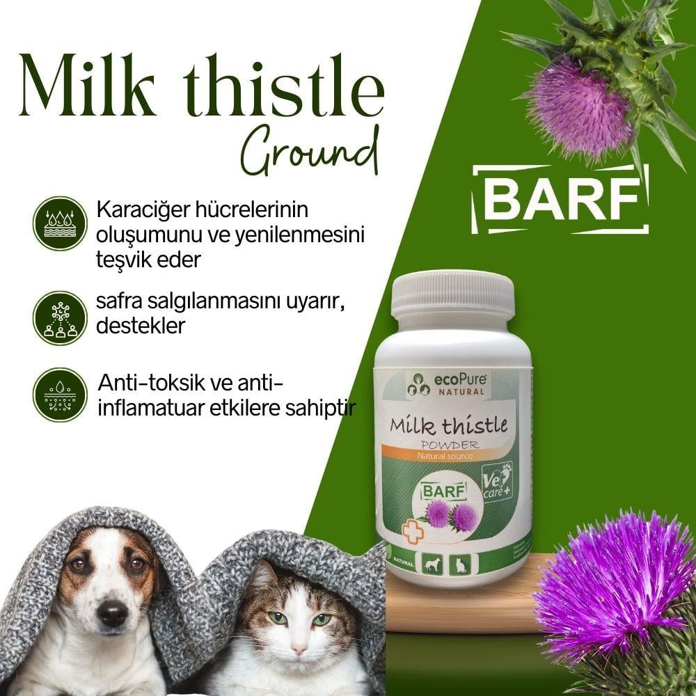 Milk Thistle Powder | %99,9 Saf Devedikeni