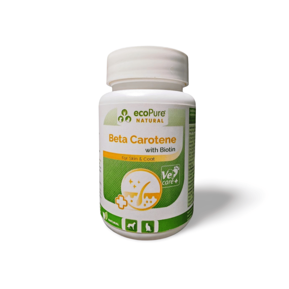 Beta carotene & Biotin® Powder Kedi & Köpek Deri - Tüy Bakım Desteği 