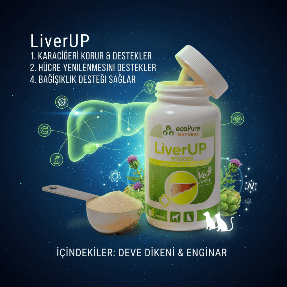 LiverUP® Powder Karaciğer Fonksiyon Desteği  80g
