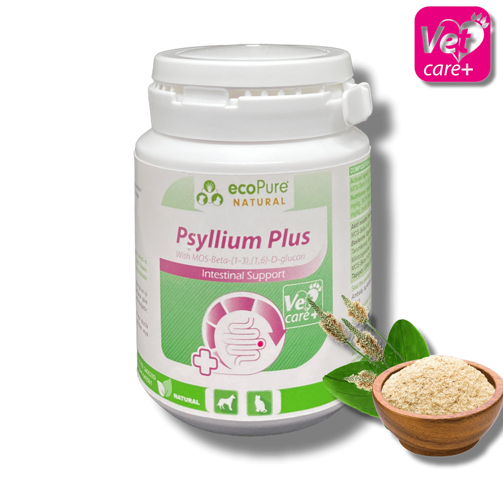 Psyllium Plus Powder 40g Cat & Dog