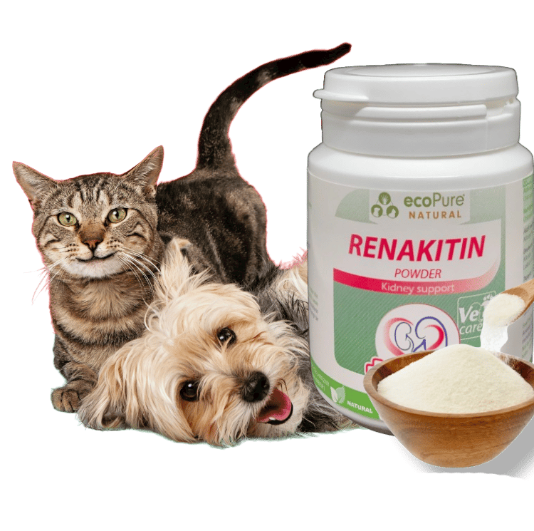 Renakitin® Böbrek Fonksiyon Desteği