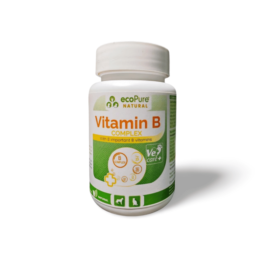 Vitamin B Complex® Powder Kediler ve Köpekler için  B Vitamini Desteği