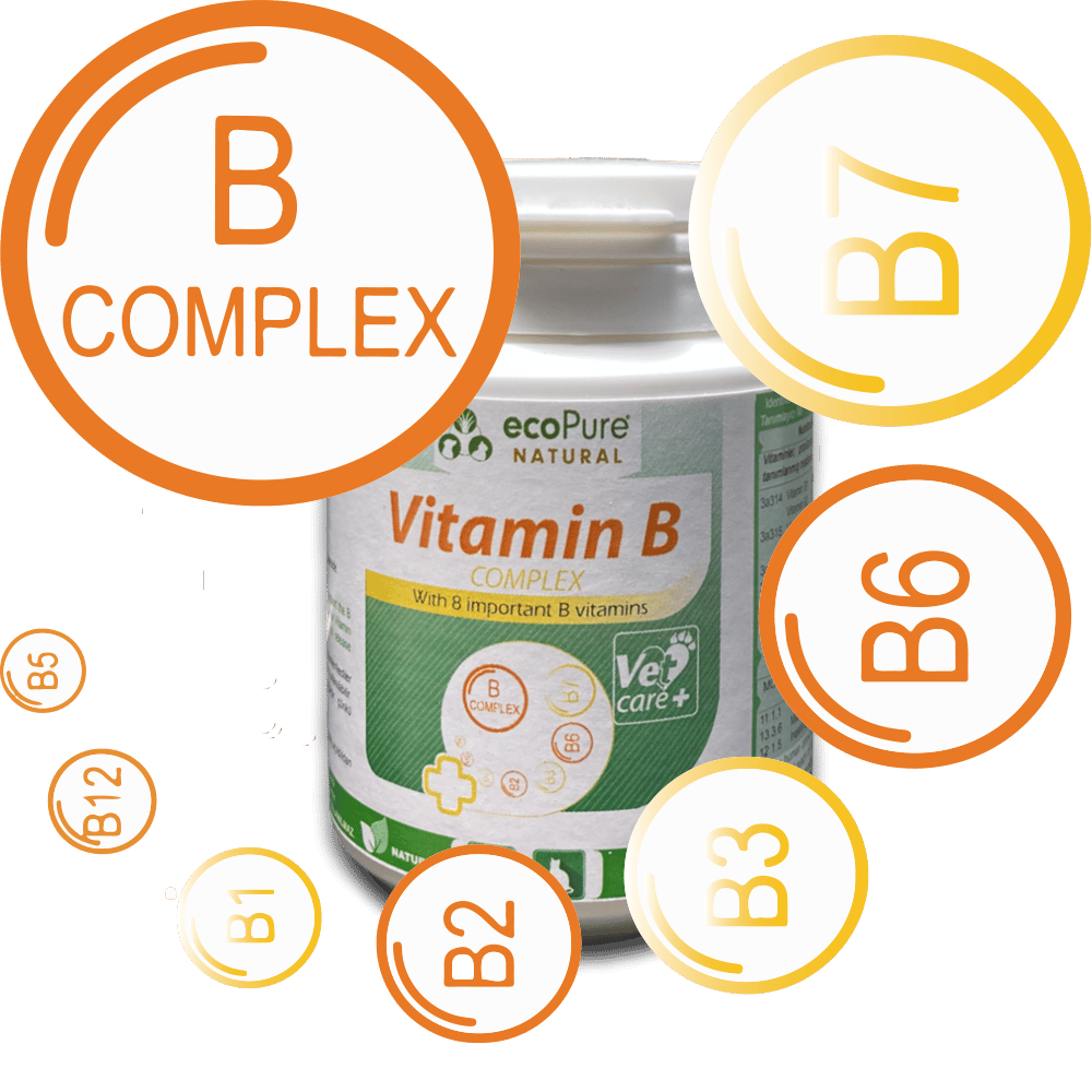 Vitamin B Complex® Powder Kediler ve Köpekler için  B Vitamini Desteği