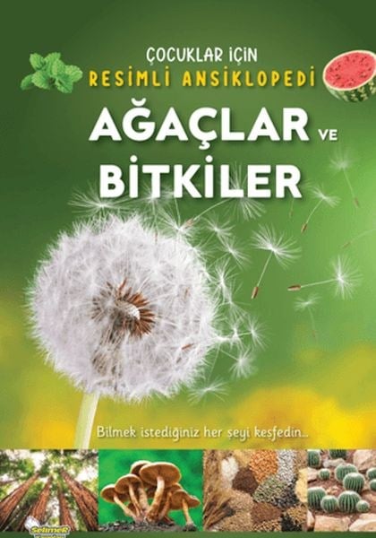 Ağaçlar ve Bitkiler