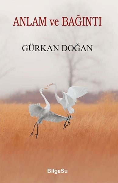 Anlam ve Bağıntı