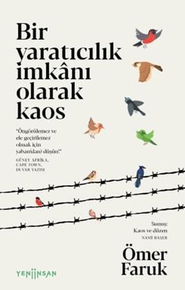 Bir Yaratıcılık İmkânı Olarak Kaos