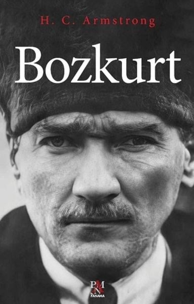 Bozkurt