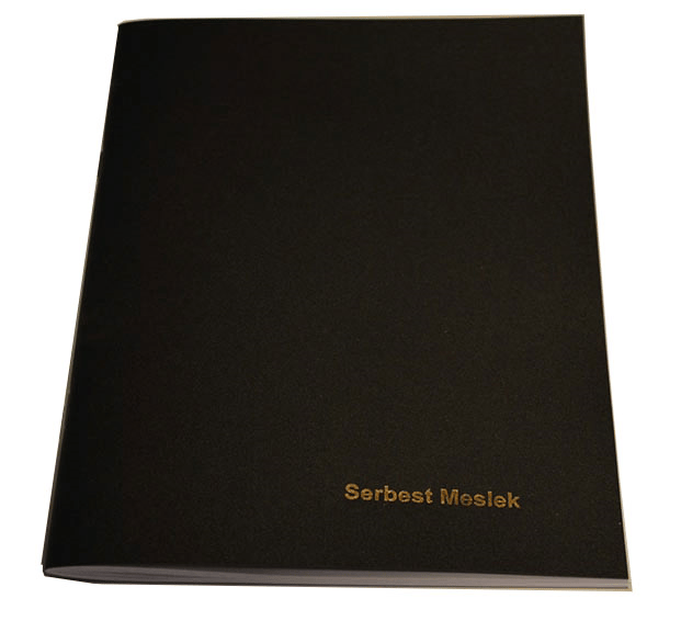 DİLMAN SERBEST MESLEK DEFTERİ PP KAPAK 48 YP 7108