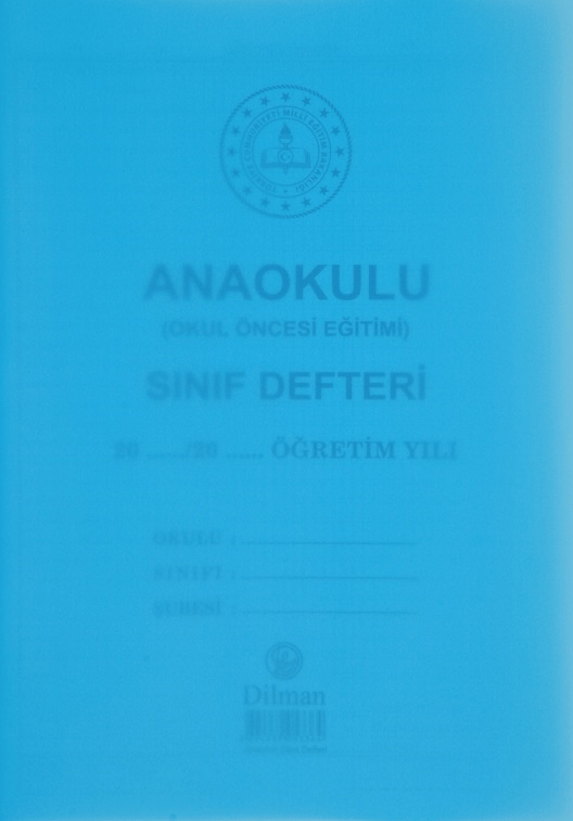 DİLMAN SINIF DEFTERİ ANAOKULU PP KAPAK 22x32 44 YP 5336