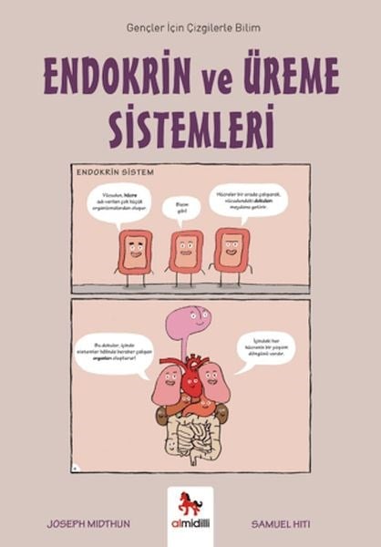 Endokrin ve Üreme Sistemleri - Gençler İçin Çizgilerle Bilim