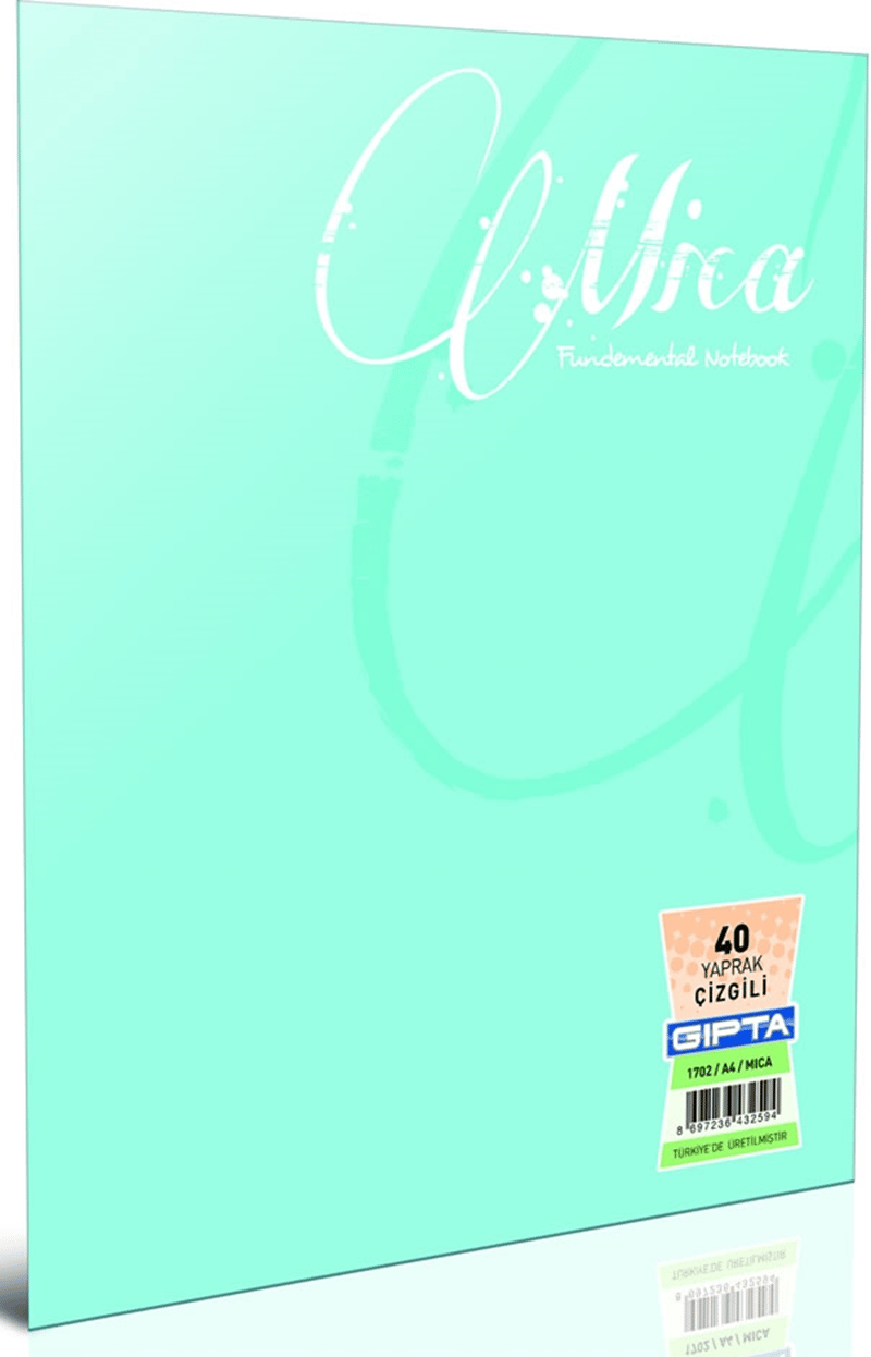 GIPTA DEFTER MICA A5 TEL DİKİŞLİ PP KAPAK 80 YP. KARELİ 2055