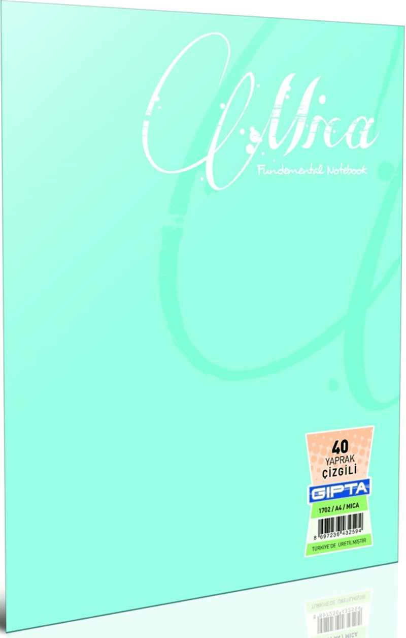 GIPTA DEFTER MICA A5 TEL DİKİŞLİ PP KAPAK 80 YP. ÇİZGİLİ 2054