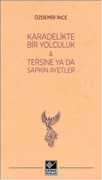 Kara Delikte Bir Yolculuk ve Tersine ya da Sapkın Ayetler