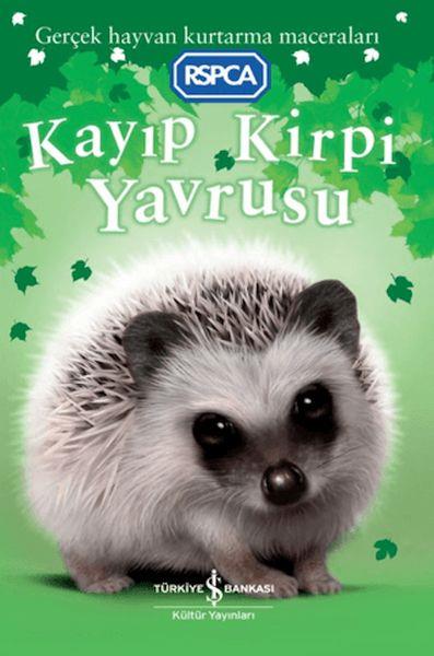 Kayıp Kirpi Yavrusu