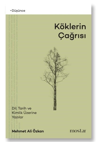 Köklerin Çağrısı