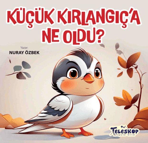 Küçük Kırlangıç'a Ne Oldu