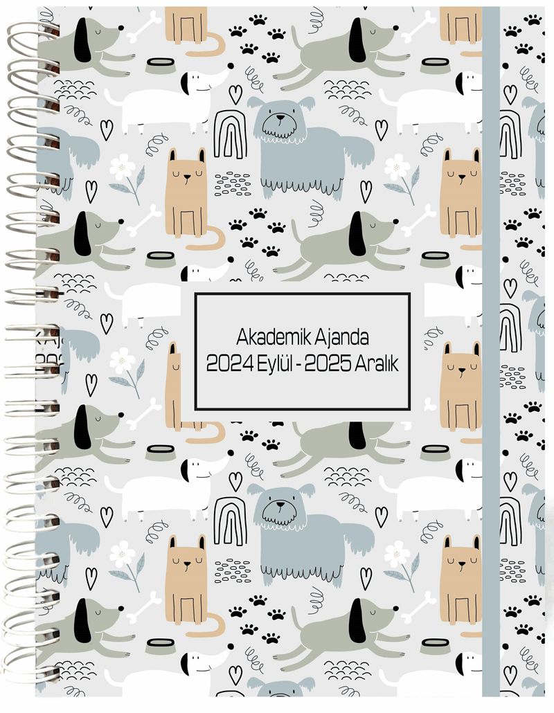 LİZ AJANDA 2025-26 17x24 HAFTALIK AKADEMİK SPR. AJAKDSP