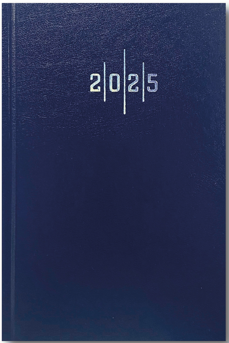 LİZ AJANDA 2026 17X24 EKONOMİK CİLT BEZİ ÇİZGİLİ AJ907