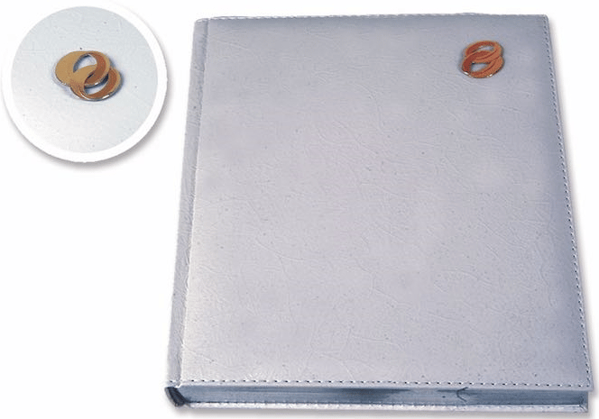 LİZ DÜĞÜN DEFTERİ 20X28 LUX 811